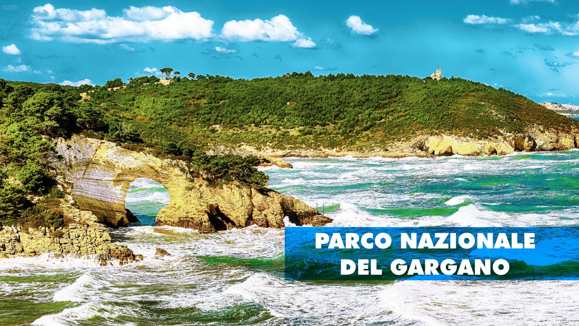 Vacanze Nel Parco Nazionale Del Gargano Cosa Fare E Come Visitarlo