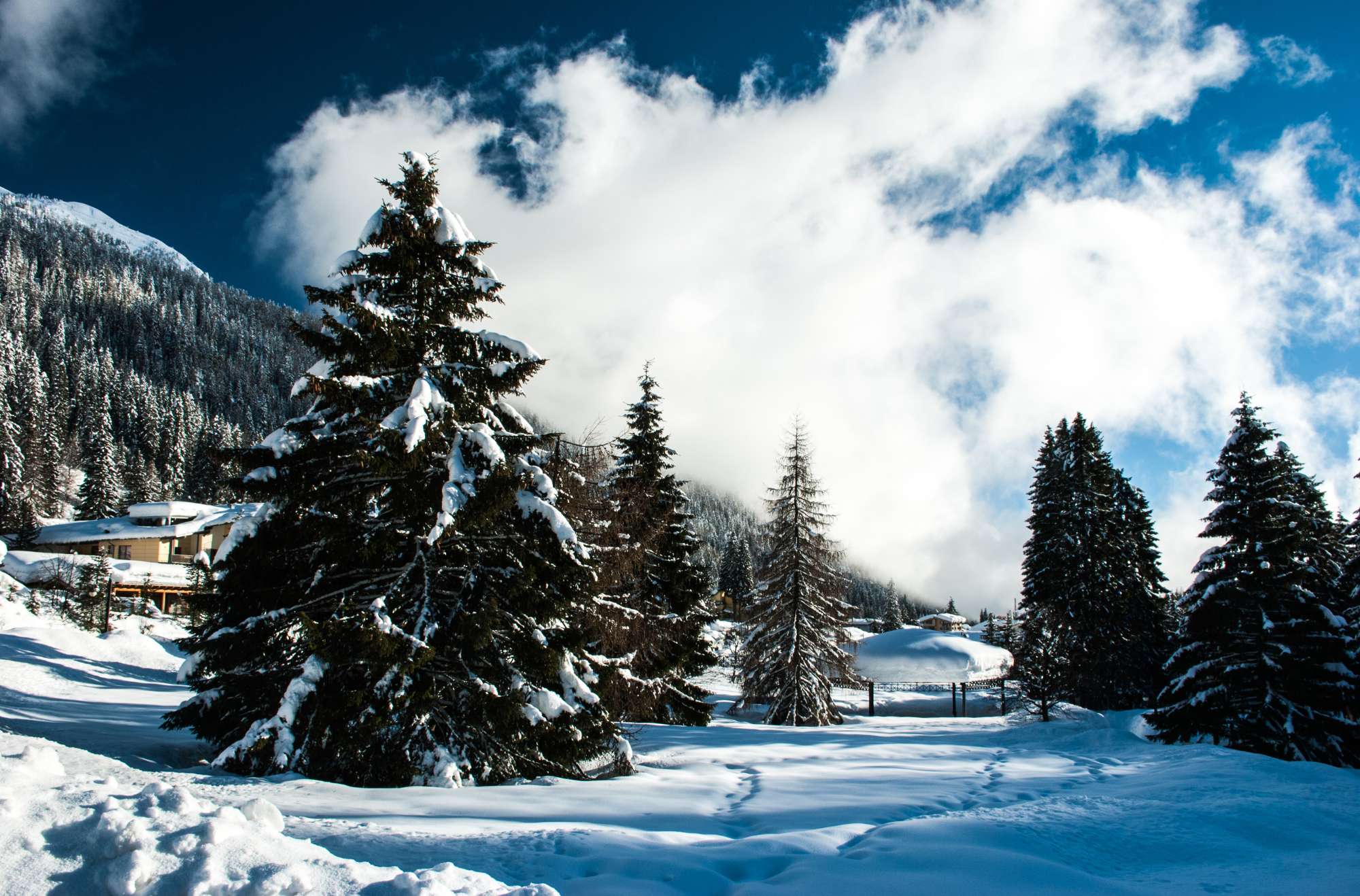 Vacanze sulla neve a Madonna di Campiglio