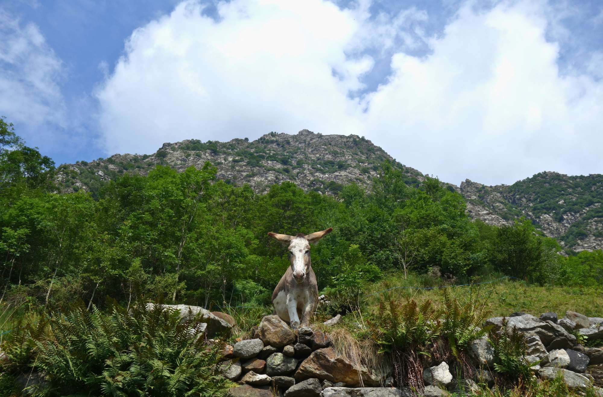 Parco Nazionale della Val Grande