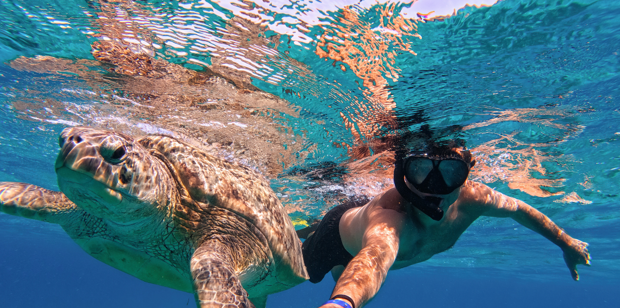 snorkeling a Marsa Alam